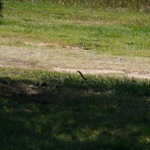 image02